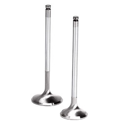 Exhaust valve & Intake valve 